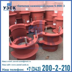 Сальники нажимные серия 5.900-3 в Дзержинске